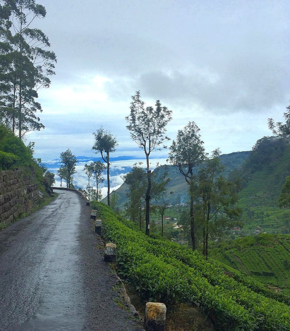 Highland landscape and luxury travel moment in Sri Lanka