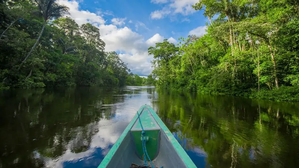 Amazon river winding through rainforest at sunset